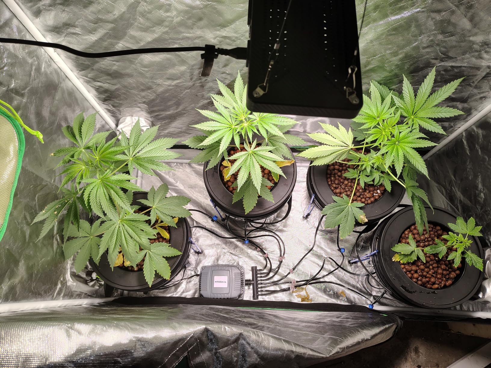 VIVOSUN DWC Hydroponics Grow System with Top Drip Kit, 5-Gallon Deep Water Culture, Recirculating Drip Garden System with Multi-Purpose Air Hose, Air Pump, and Air Stone (8 Buckets + Top Drip Kit) customer photo 2