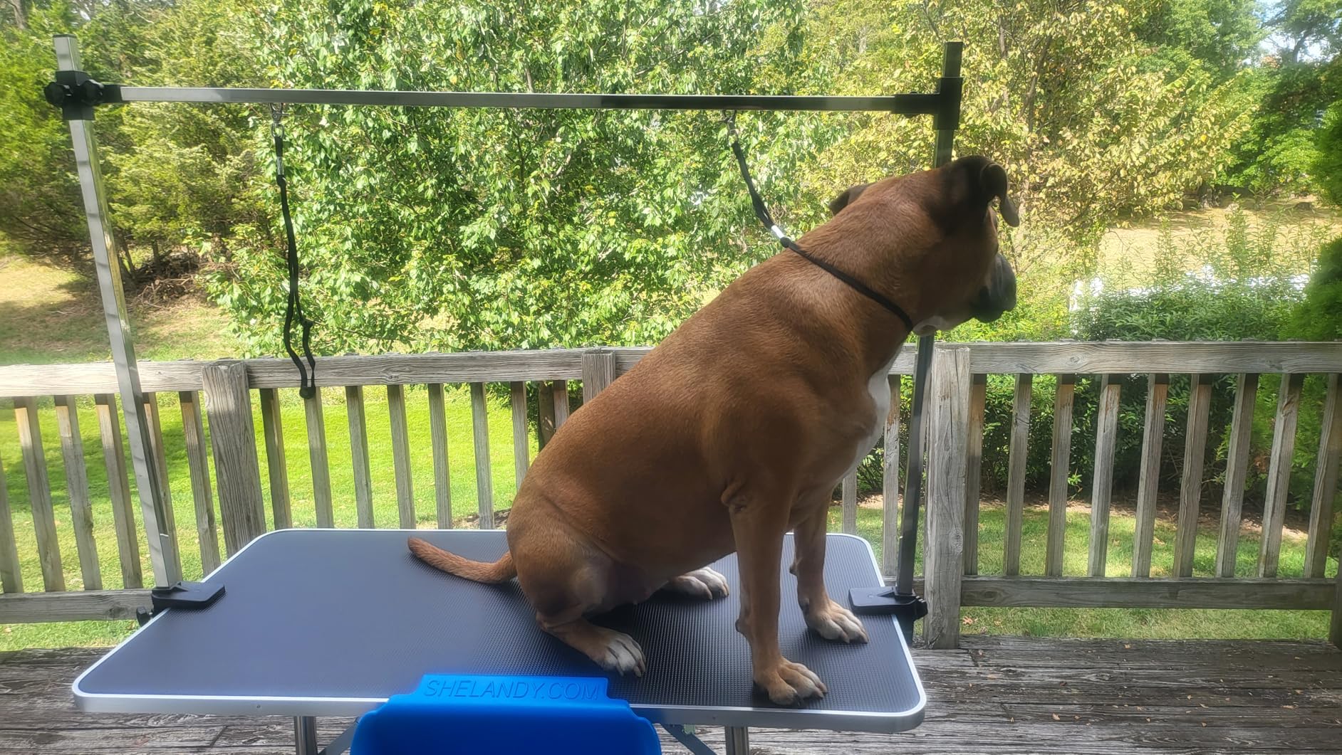 Lyromix 36''Large Dog Grooming Table, Adjustable Cat Drying Desktop with Arms, Nooses, Mesh Tray, Foldable Pet Station at Home, Maximum Capacity Up to 330Lb customer photo 1