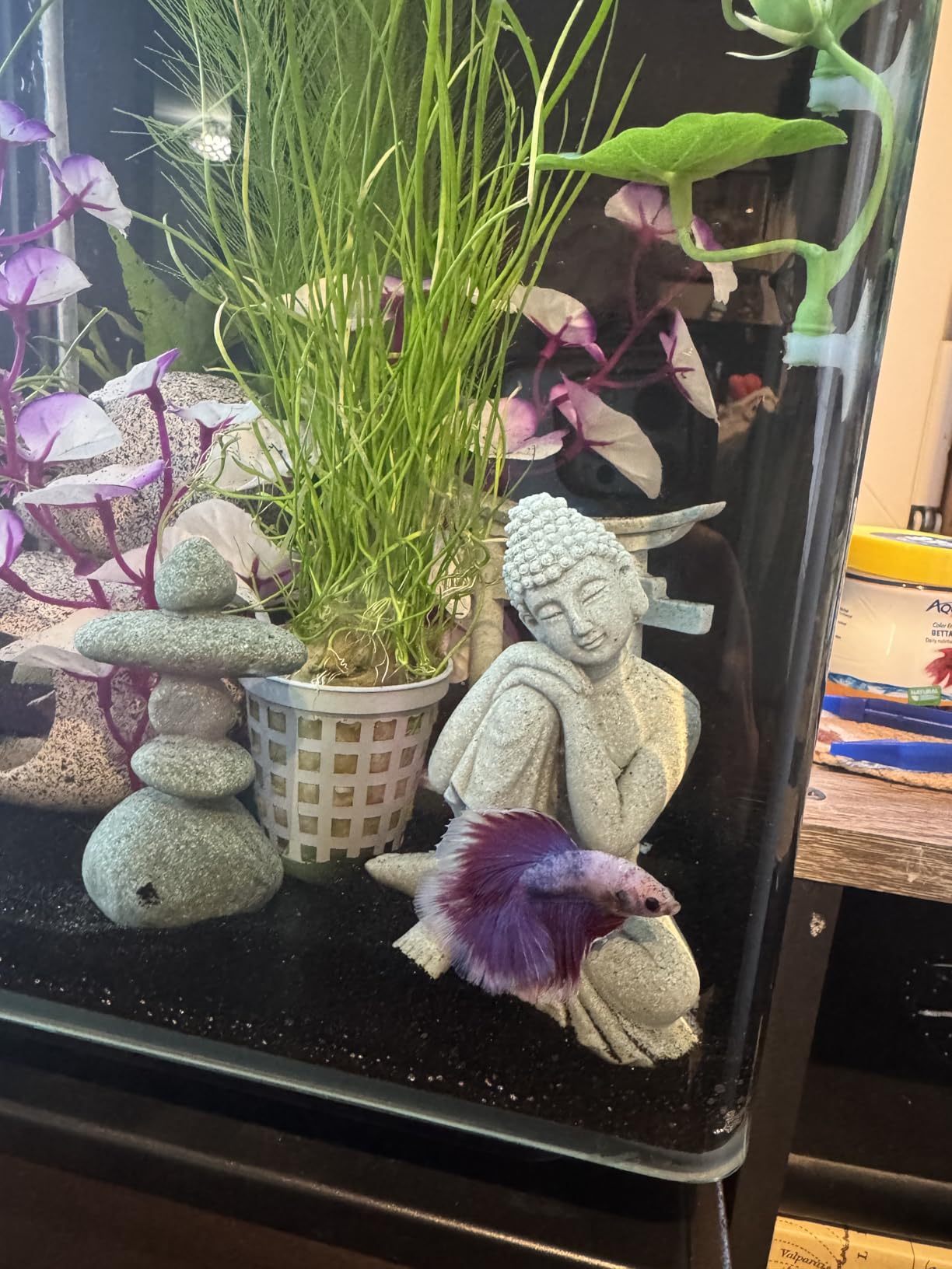 Little Buddha Statue for Home - Handmade Stone Meditation Sitting Buddha Figurine, Baby Buddha Statue Indoor/Outdoor customer photo 2