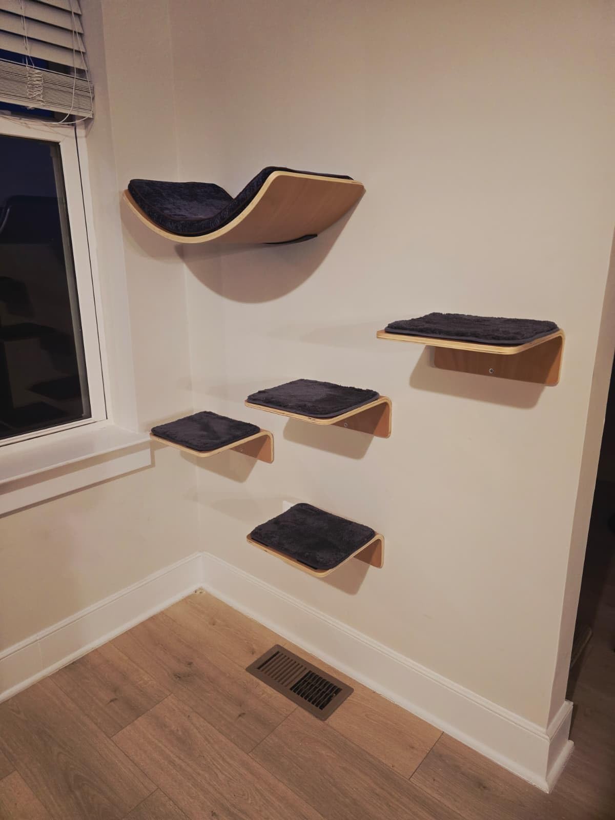 LIORCE Cat Wall Shelf with Two Steps - Curved Cat Shelves and Perches for Wall (Large Size) - Wall Mounted Cats Furniture for Sleeping, Playing, Climbing, and Lounging customer photo 1
