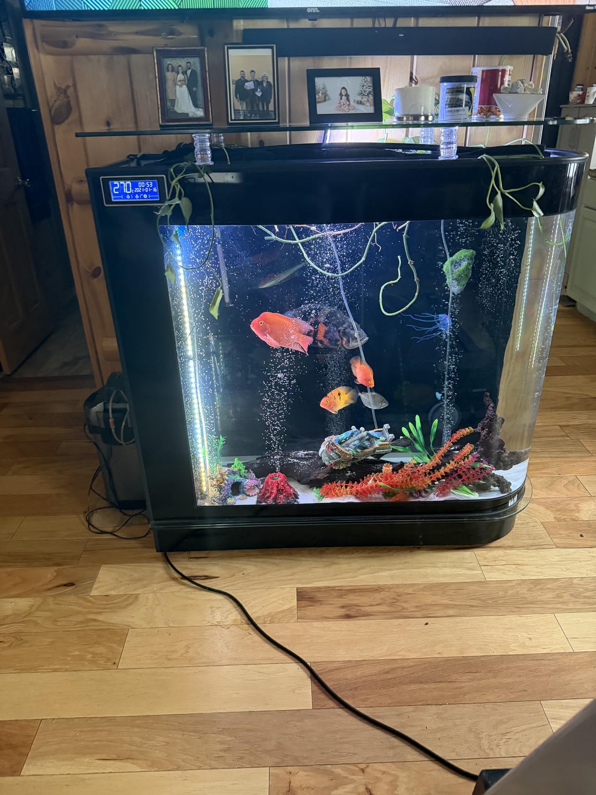 Black Fish Tank 124Gal LED Aquarium Kit Upright Large Glass Fishbowl with Display Stand - All-in-One Setup for Planted Tanks customer photo 1