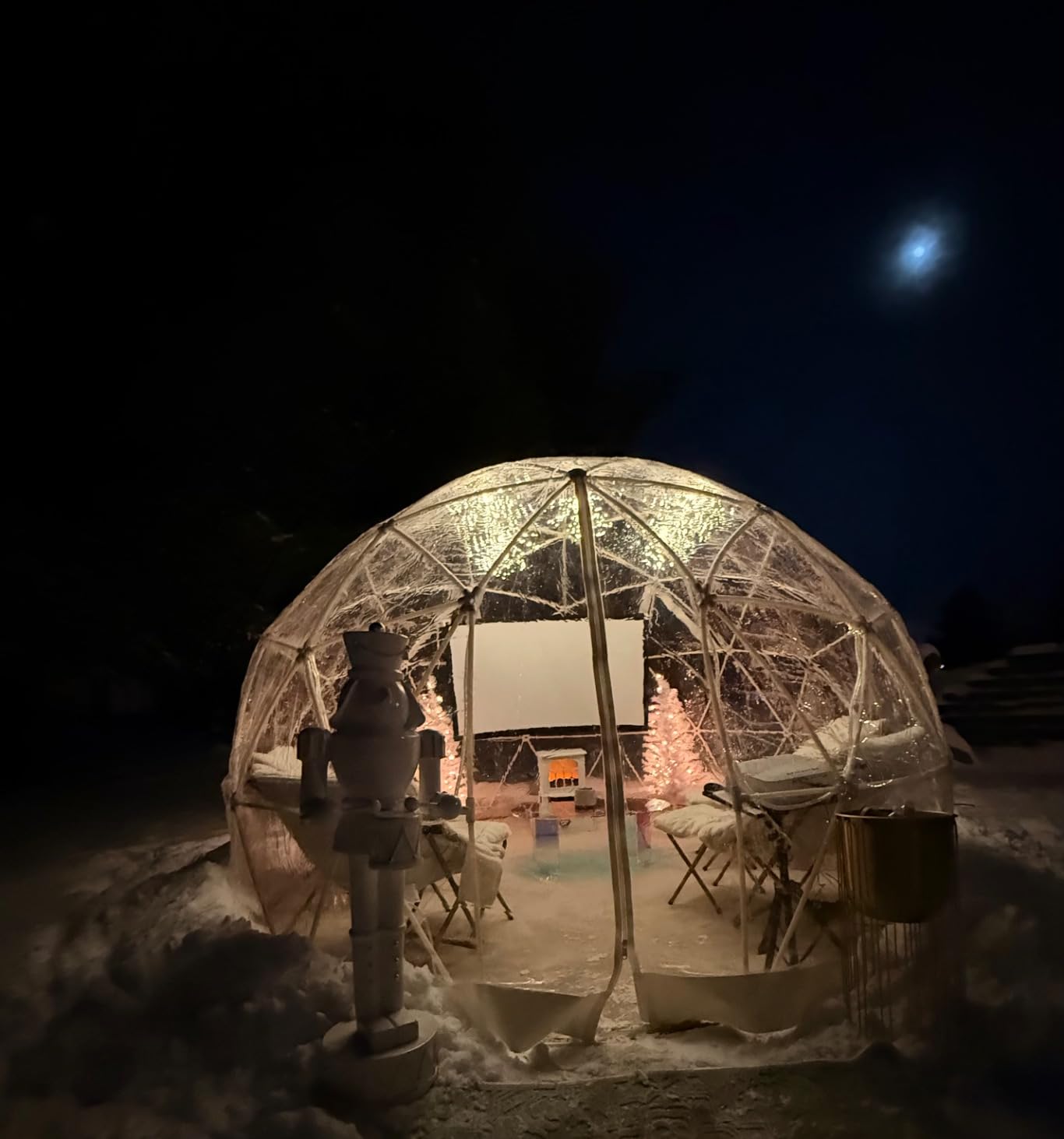 Garden Dome Tent House Outdoor 12 FT, Weatherproof Greenhouse Transparent Garden Dome House for Backyard, Party customer photo 1