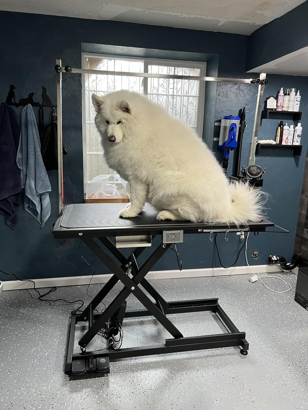 Hydraulic Pet Dog Grooming Table for Dogs & Cats, Heavy Duty Large Groomming Table with Adjustable Arm Noose, Maximum Capacity Up to 300lbs, 42.5inch, Black customer photo 2