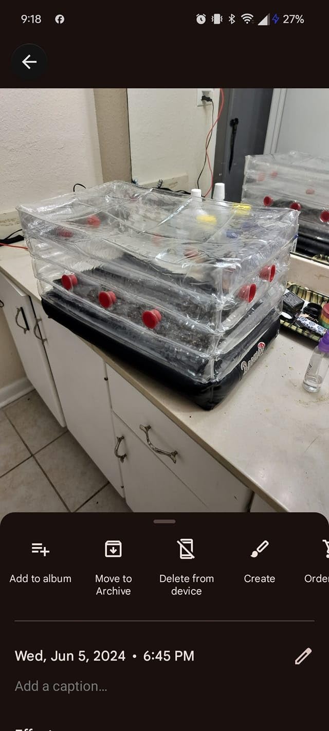 Boomer Shroomer Inflatable Monotub Kit with Drain Port, Plugs & Filters customer photo 1