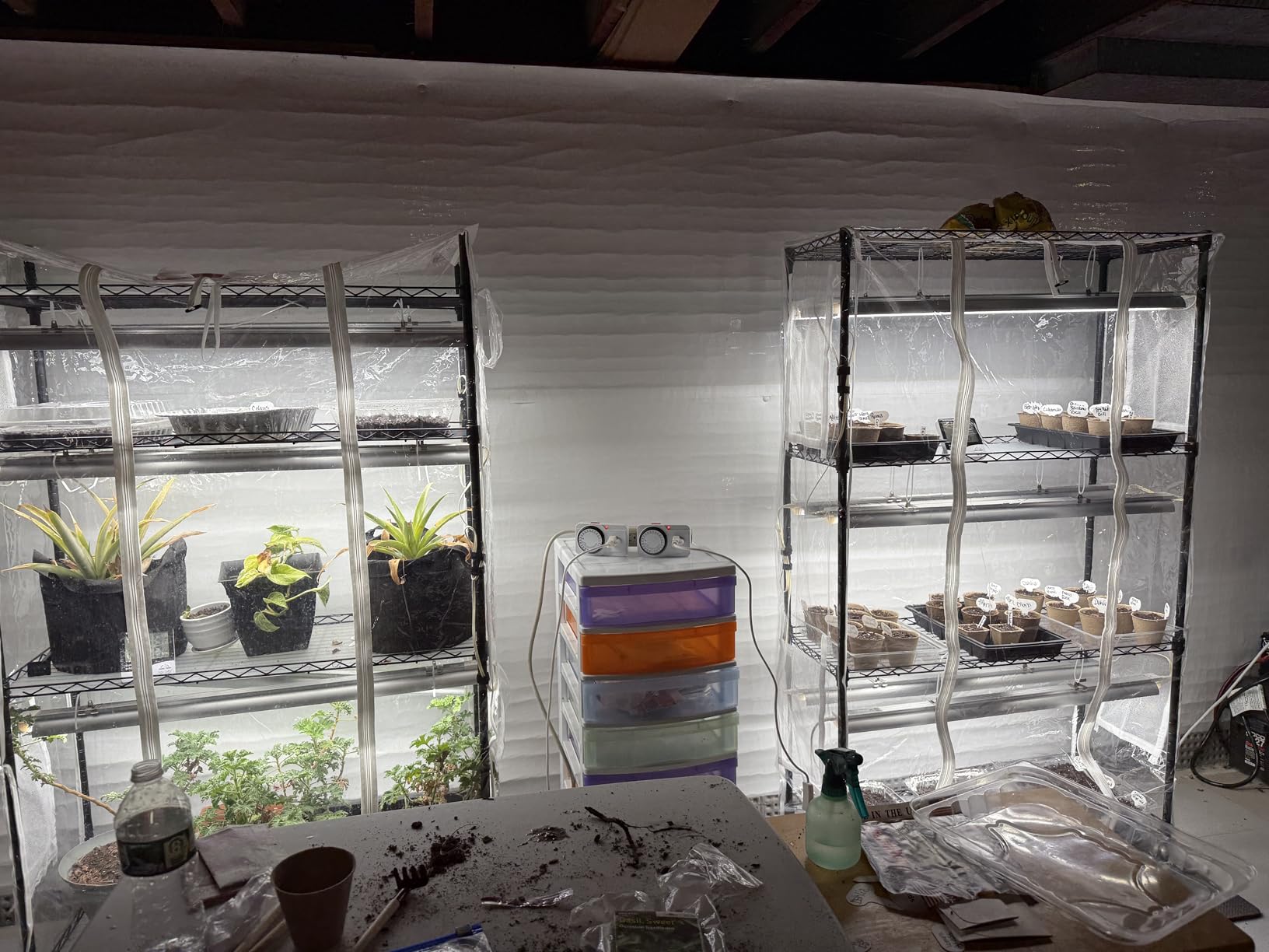 Barrina CX5Z Indoor Greenhouse with Grow Light - 4-Tier Portable Plant Stand with 6PCS 30W Full Spectrum T8 Plant Lights customer photo 1