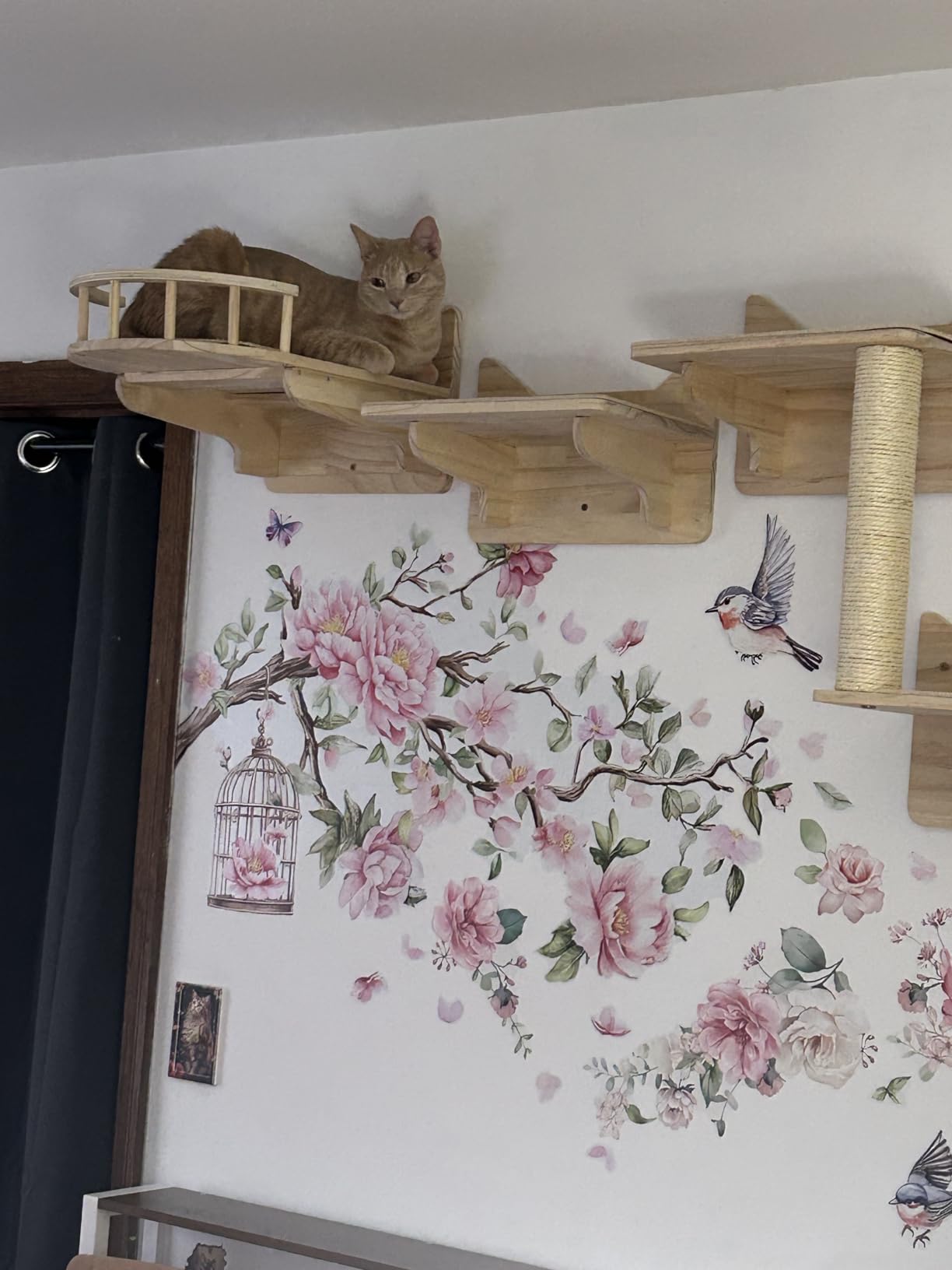 NOVGOBHOT Cat Wall Shelves for Large Cats - 9-Piece Wooden Wall-Mounted Cat Shelves Set, Kitty Climbing System with Perches, Scratching Post & Condo House customer photo 1