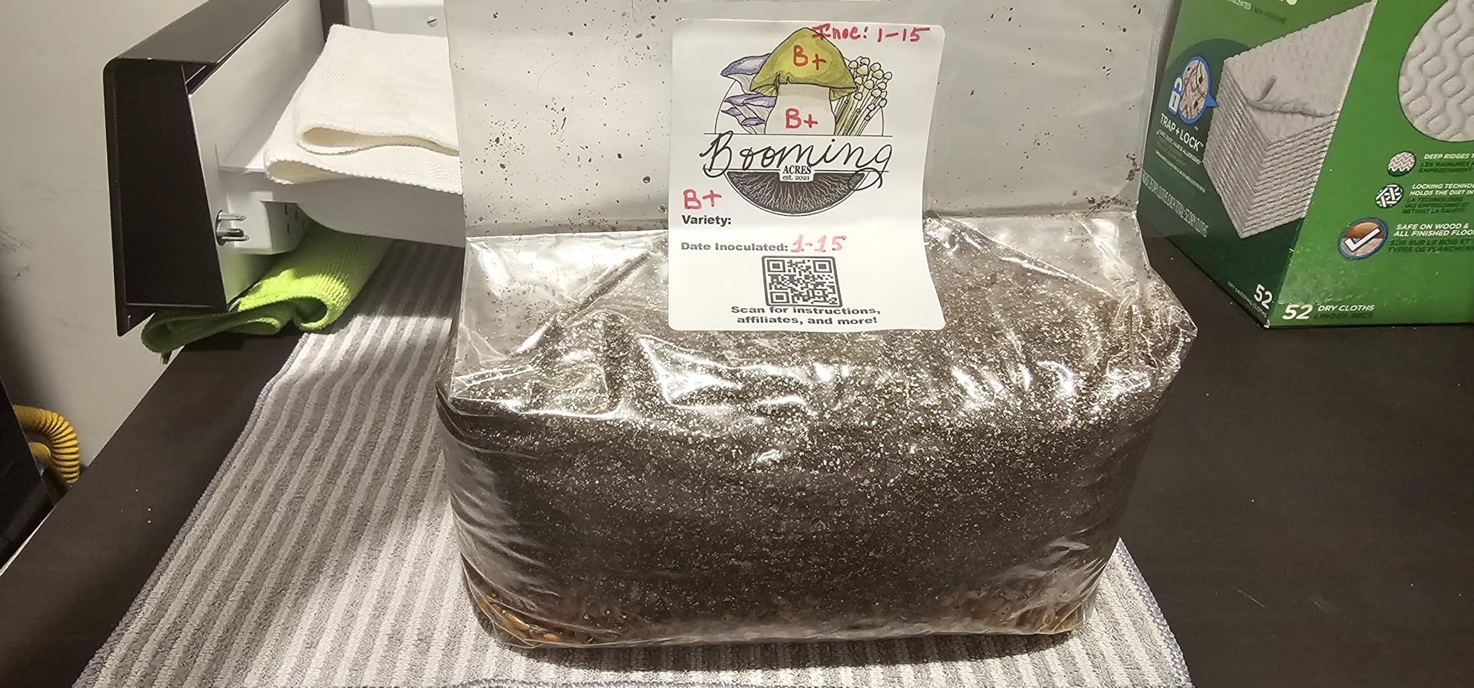 The Magical 5lb All-in-One Mushroom Grow Bag with Injection Port customer photo 1
