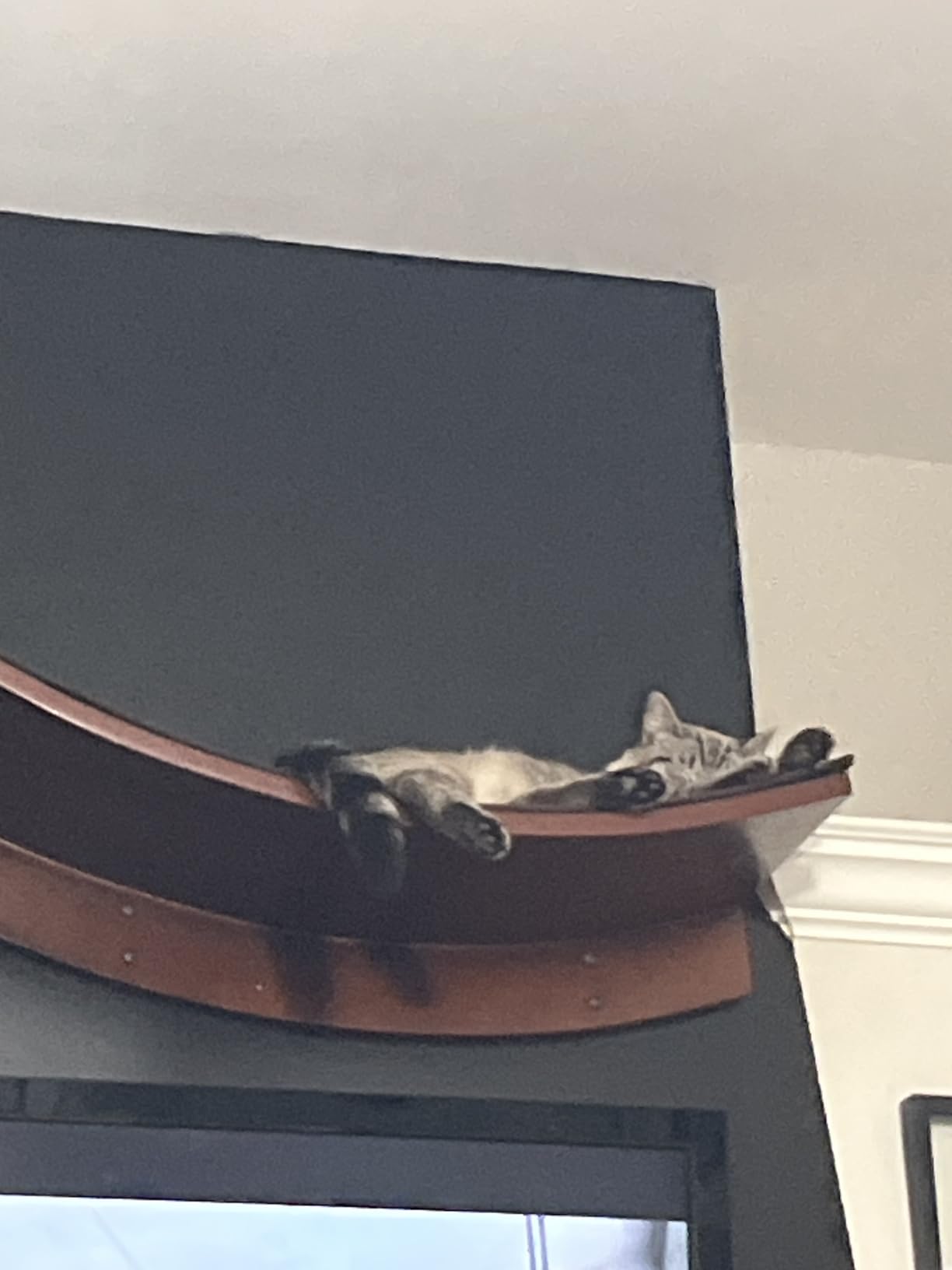 The Refined Feline 60 Inch Lotus Branch Cat Shelf in White Right Facing with Replaceable Carpet, Playing, Climbing, & Lounging Cat Shelves and Perches for Wall customer photo 1