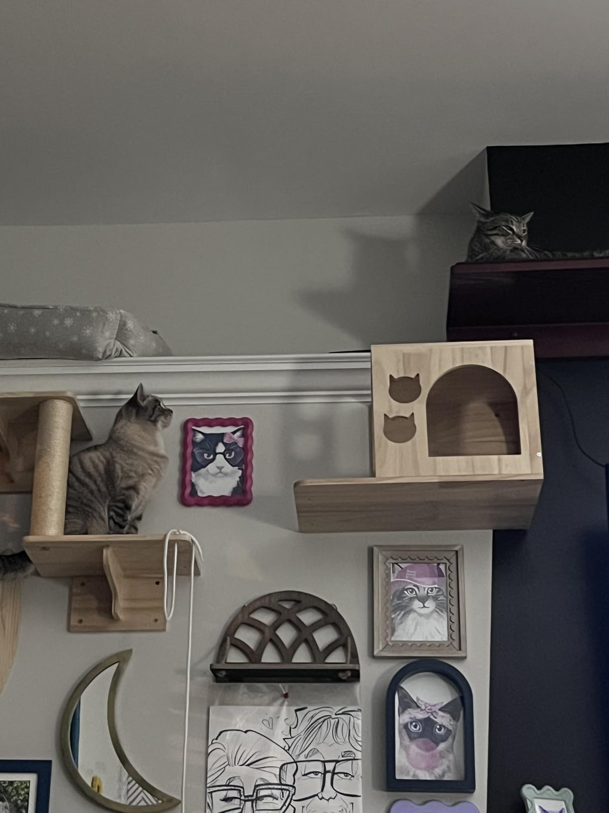 The Refined Feline 60 Inch Lotus Branch Cat Shelf in White Right Facing with Replaceable Carpet, Playing, Climbing, & Lounging Cat Shelves and Perches for Wall customer photo 2