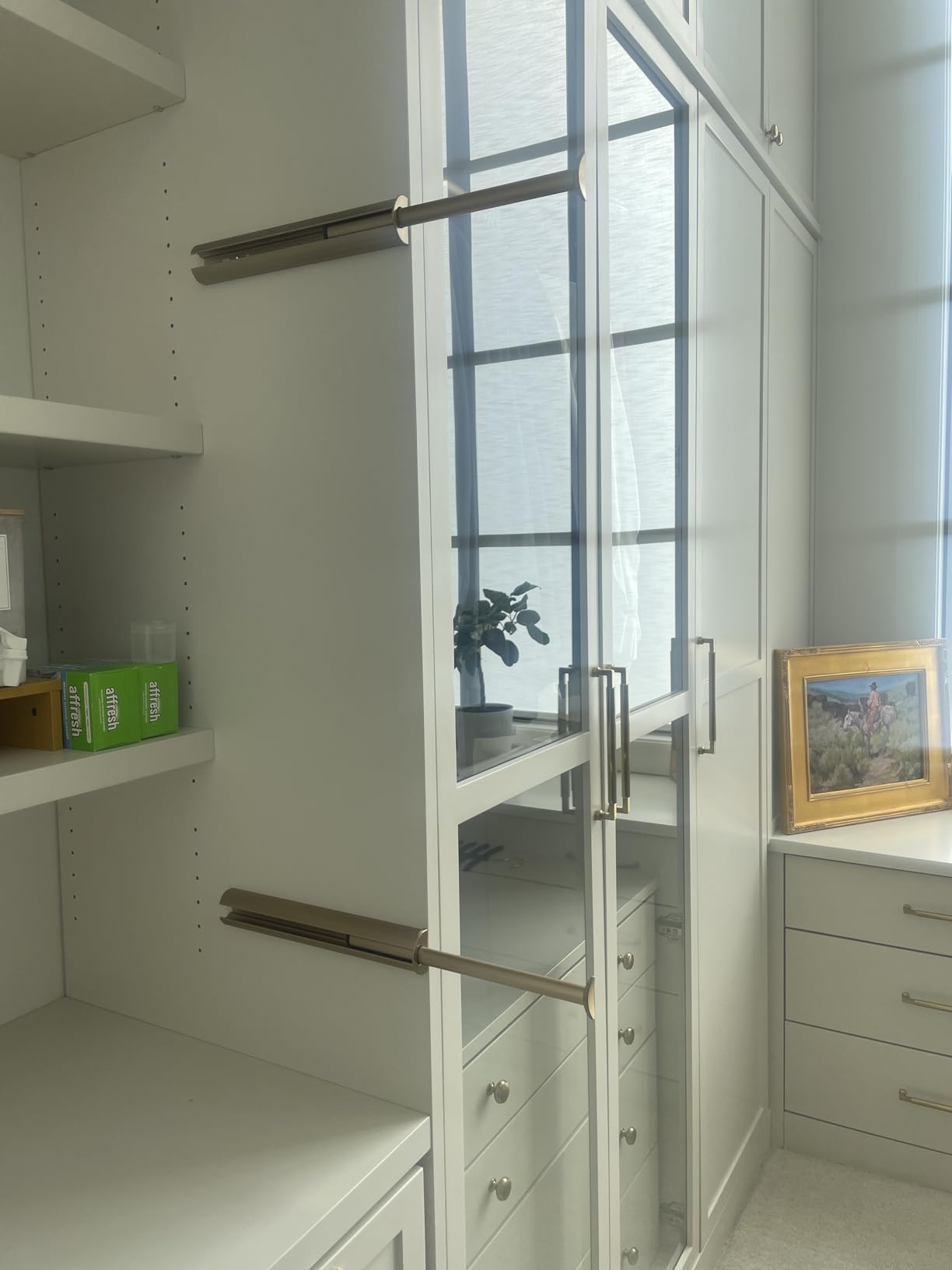 TAG Hardware Premium 11 3/4 Inch Long Pullout Closet Wardrobe Valet Rod (Matte Aluminum with Chrome) customer photo 1