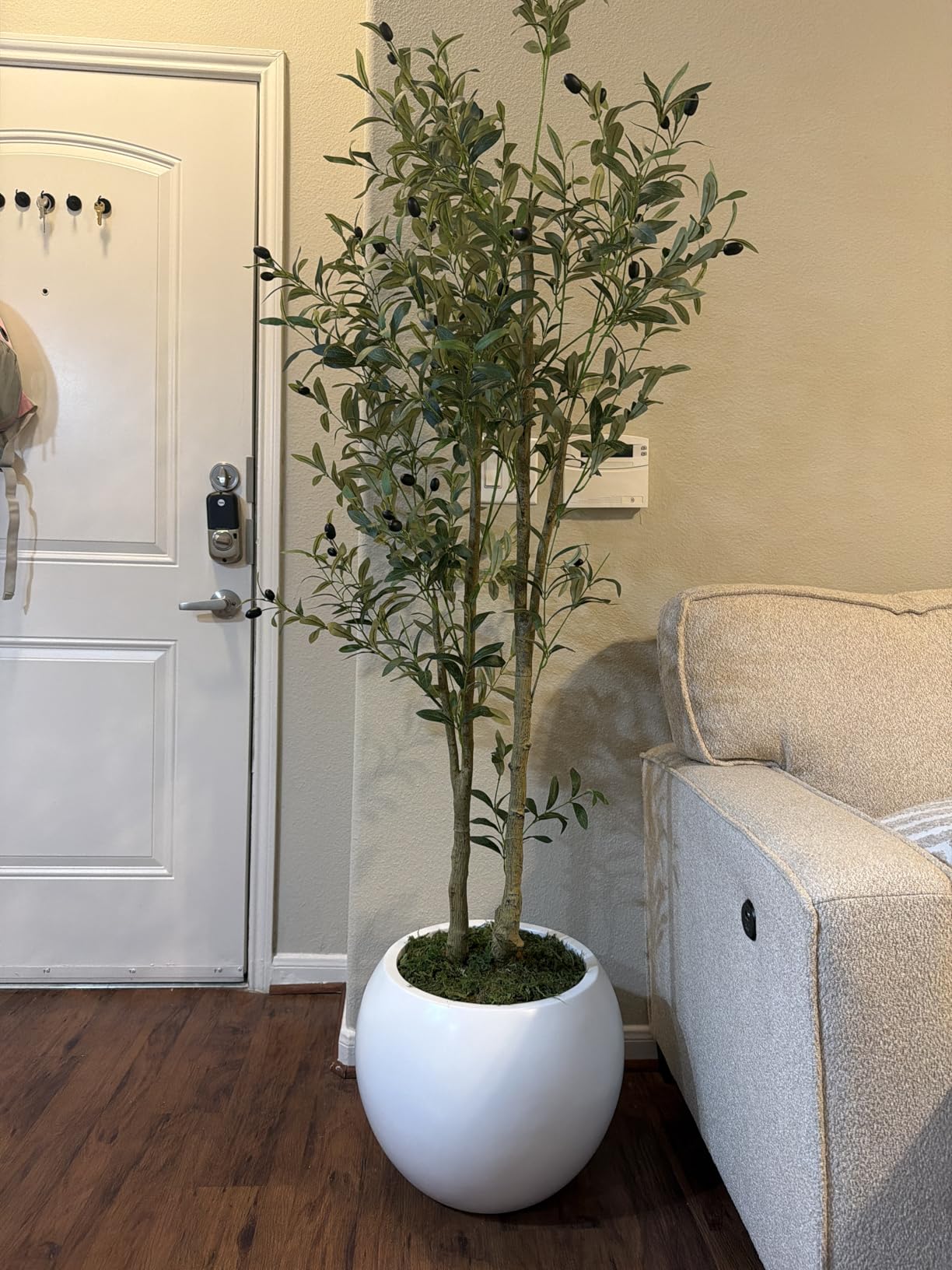 DTY Round Planter - Large White Outdoor Planter, Drainage Hole - 21.1 in D x 16.7 in H - Fiberstone customer photo 1