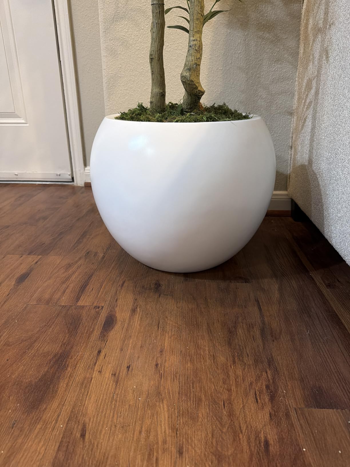 DTY Round Planter - Large White Outdoor Planter, Drainage Hole - 21.1 in D x 16.7 in H - Fiberstone customer photo 2
