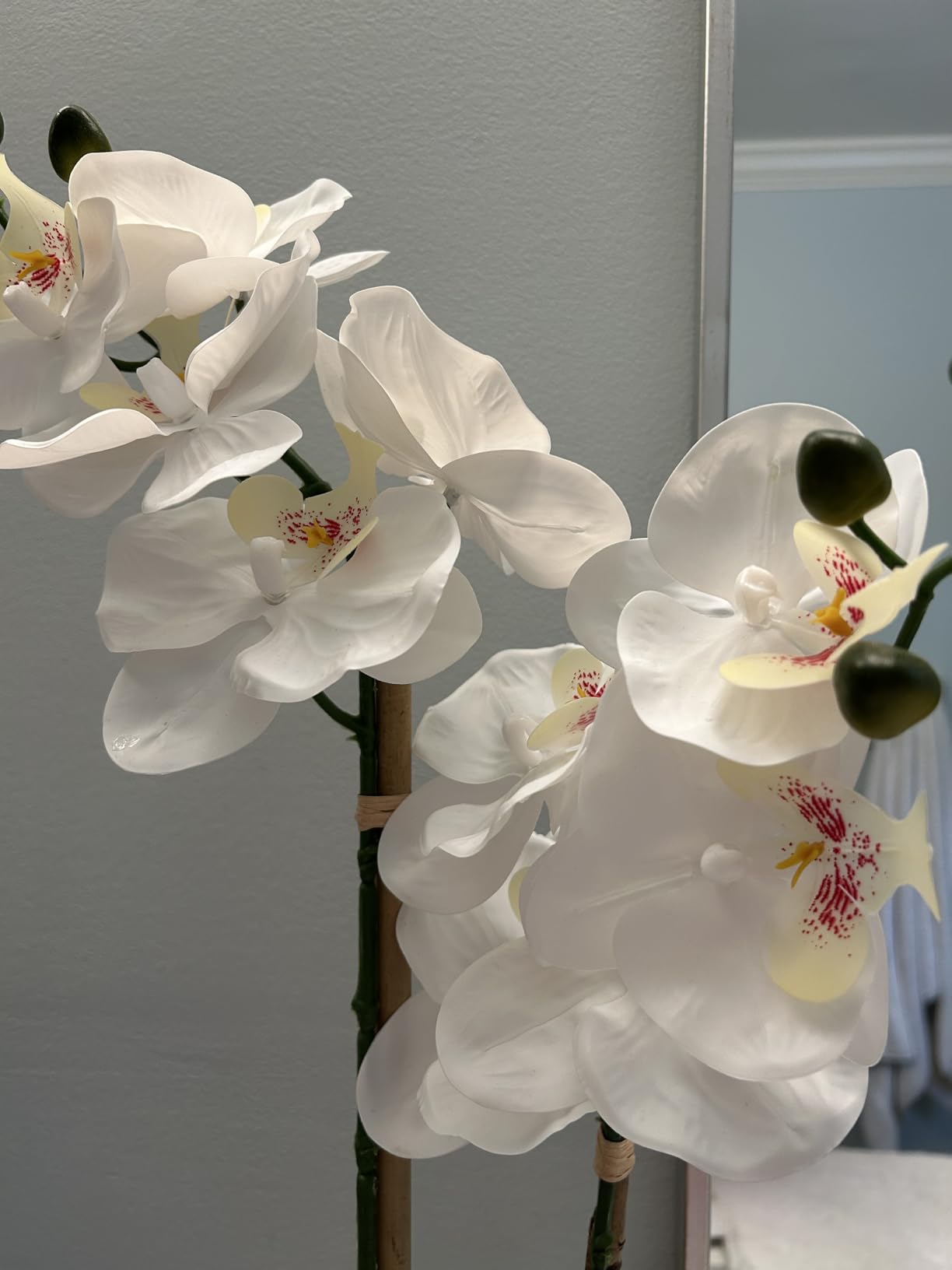 Nearly Natural 26in. Artificial Double Orchid Phalaenopsis with Decorative Vase (Real Touch) customer photo 1