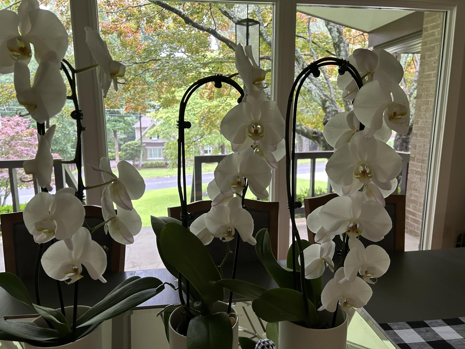 Nearly Natural 26in. Artificial Double Orchid Phalaenopsis with Decorative Vase (Real Touch) customer photo 2