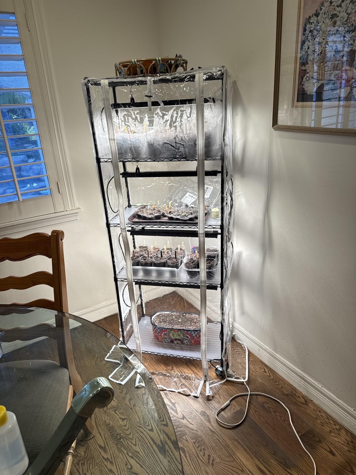 Barrina CX6 Plant Stand with Grow Lights, 6-Tier Metal Plant Shelf with 3FT T8 30W Full Spectrum Yellow LED Plant Lights, Indoor Plant Shelf for Multiple Plants customer photo 1