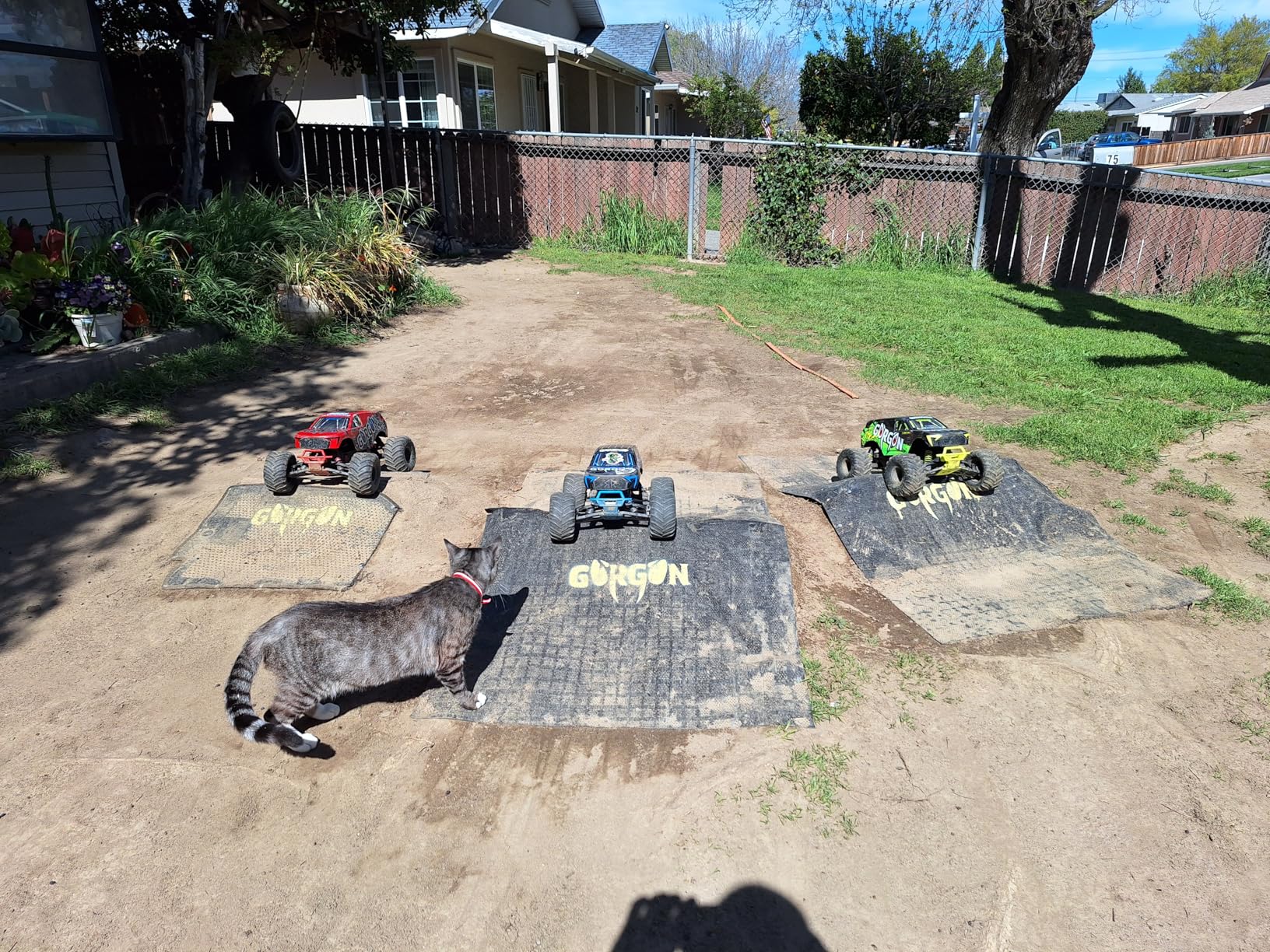 Arrma RC Monster Truck Gorgon 4X2 MEGA 550 Brushed Monster Truck RTR 1/10 customer photo 2