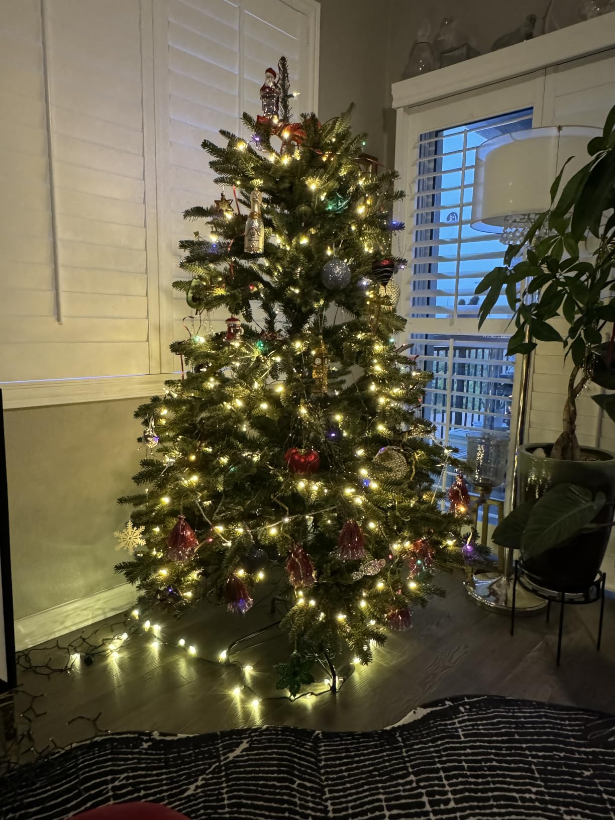 BH Fraser Fir Full Christmas Tree with Most Realistic True Needle Foliage, Easy Plug Technology, LED Clear Lights, 7.5ft customer photo 2