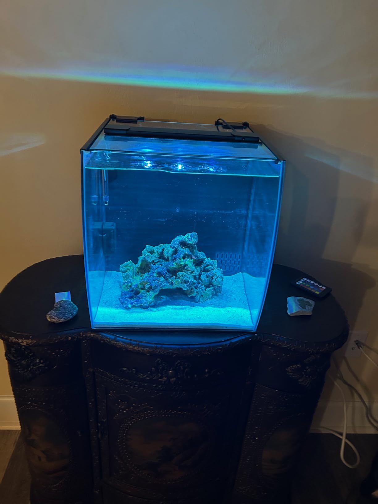 Aquatop 8.6 Gallon Bow Front Glass Aquarium Kit with Filter and LED Lighting - All in One Desktop Fish Tank customer photo 1