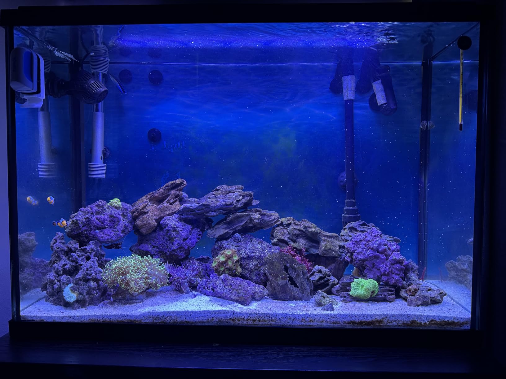AquaIllumination AI Nero 7 Submersible Wavemaker Pump with Fish Guard - 4000 GPH Aquarium Flow, Compact Powerhead for Saltwater Reef Tanks, SPS/LPS Coral Growth & Circulation (Nero 7) customer photo 1