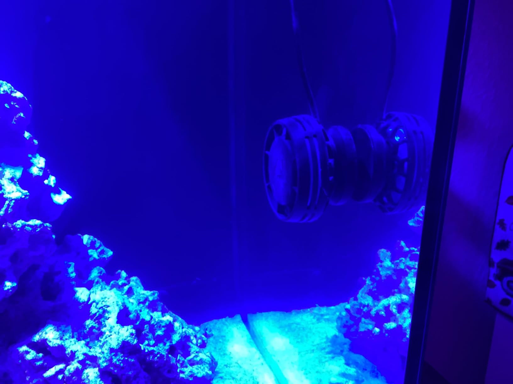 AquaIllumination AI Nero 7 Submersible Wavemaker Pump with Fish Guard - 4000 GPH Aquarium Flow, Compact Powerhead for Saltwater Reef Tanks, SPS/LPS Coral Growth & Circulation (Nero 7) customer photo 2