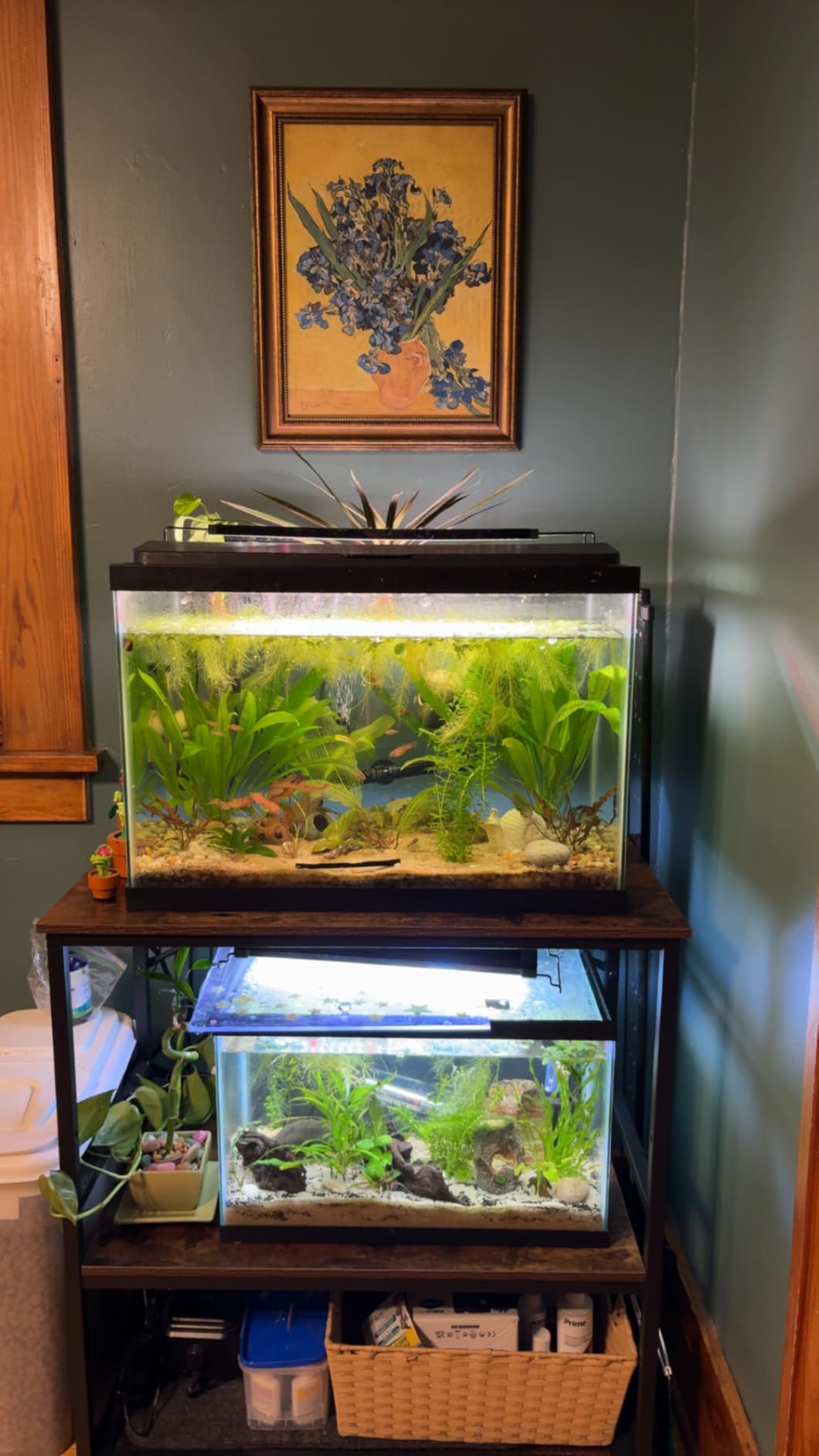 TC-HOMENY Fish Tank Stand 10/20/29/37 Gallon, Aquarium Stand with Charging Station,1000LB Capacity ,31