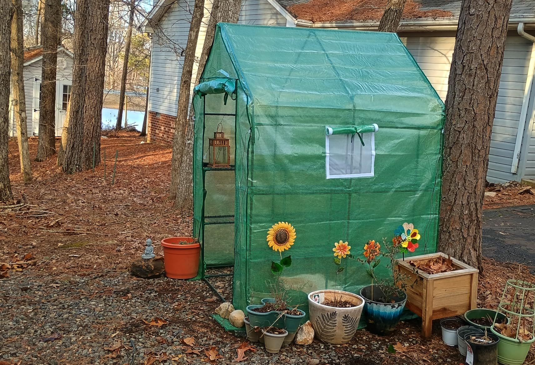 SPECILITE 56×56×78Inch Walk-in Greenhouse for Outdoors Garden Plant, Green customer photo 1