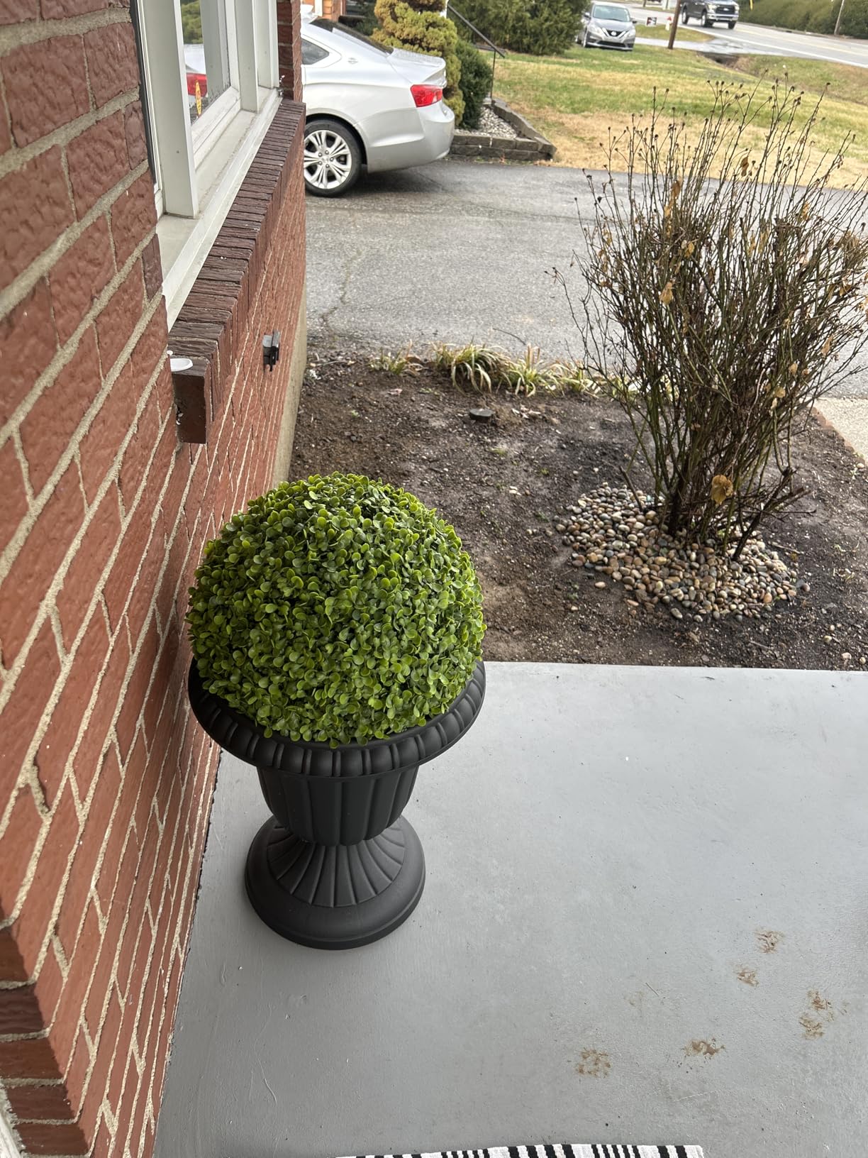 Outdoor Planter 2-Pack - 16x18-Inch Urn Planters - Plastic Plant Pots for Indoor, Outdoor, or Front Porch Decor - Flower Pots by Pure Garden (Black) customer photo 2