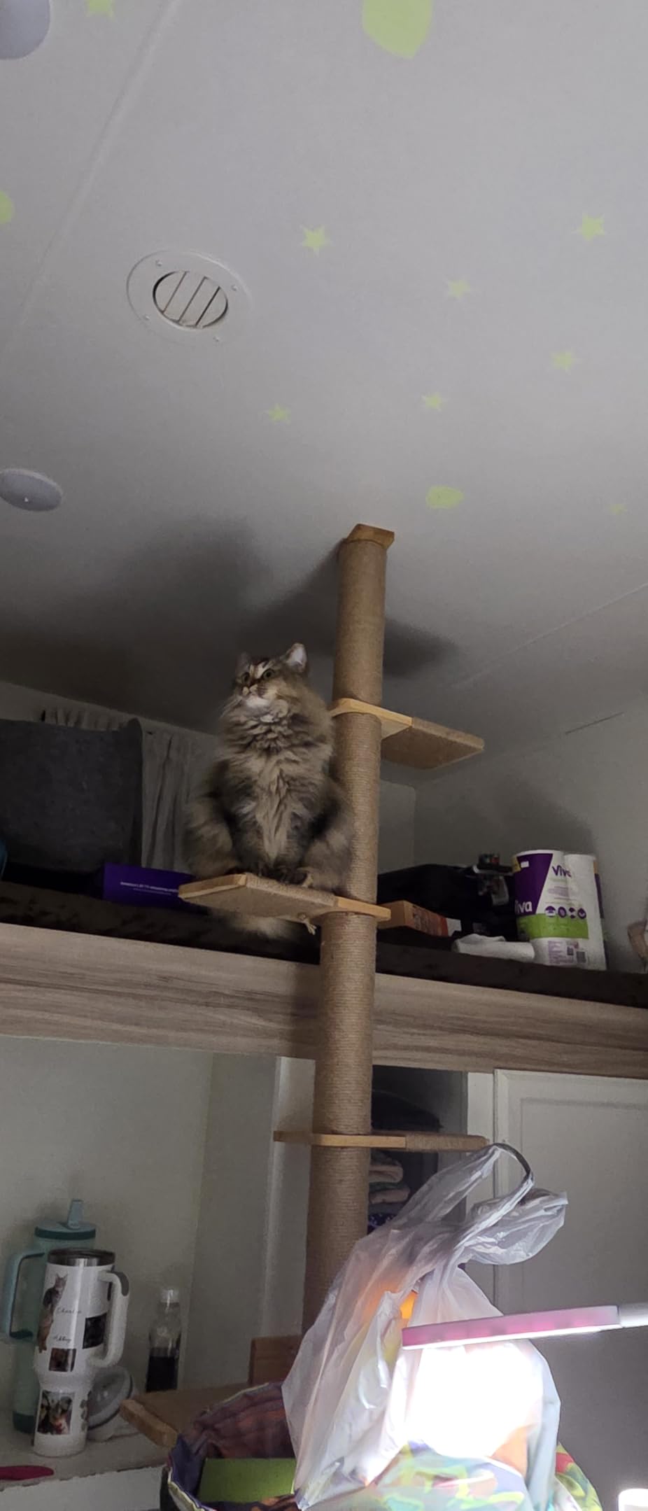 FUKUMARU Wall-Mounted Cat Tree for Small & Medium Cats, 5-Tier Tall Cat Climbing Tower with Scratching Post, Indoor Cat Wall Shelves for Climbing, Scratching & Lookout customer photo 2