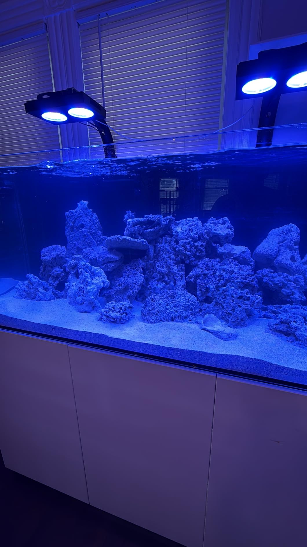 Aqua Dream 185 Gallon Coral Reef Fish Tank - Ultra Clear Glass Saltwater Aquarium with LED Lights, Pump, Filter Media, Cabinet, 41 Gallon Sump Filtration, Pipes - Black customer photo 2