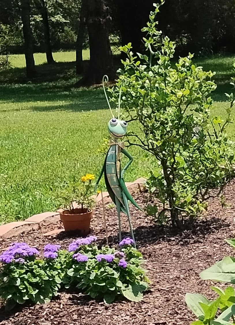 Evergreen Garden 35