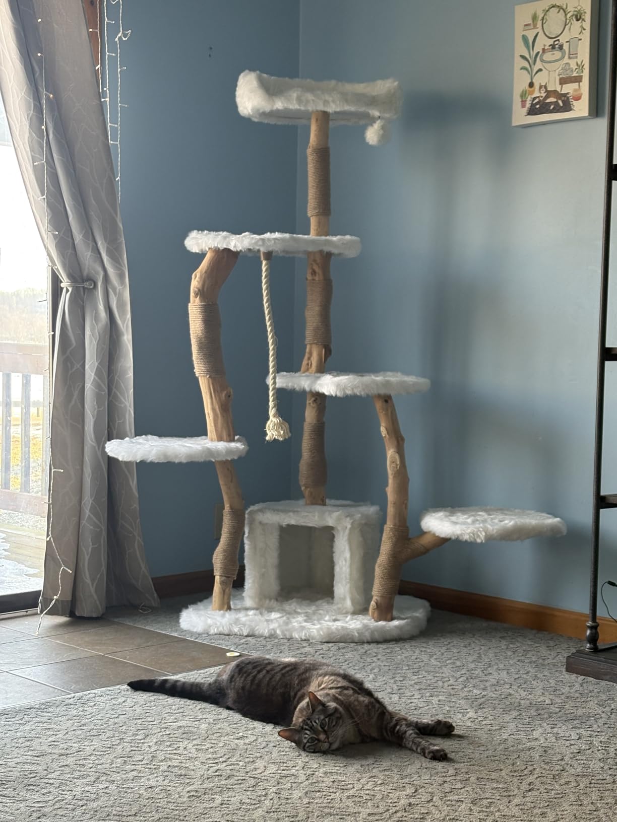PETSITE 66 inch Tall Wooden Cat Tree Tower, Multi-Level Cat Tower with Jute Scratching Posts, Sisal Rope, Cat Condo, and Dangling Ball, Soft Long Plush, Modern Cat Tree for Indoor Cats Large Adult customer photo 1