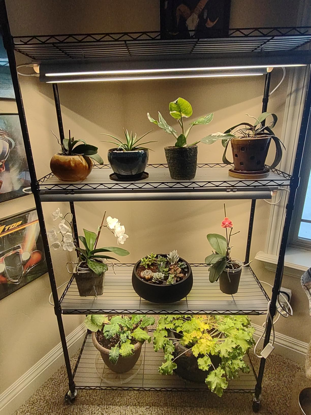 VEVOR Plant Stand with Grow Light, 4 Tiers Plant Shelf with 3000K 180W LED Full Spectrum Light for Indoor Plants, Grow Light Shelf with Timer for Seed Starting customer photo 2