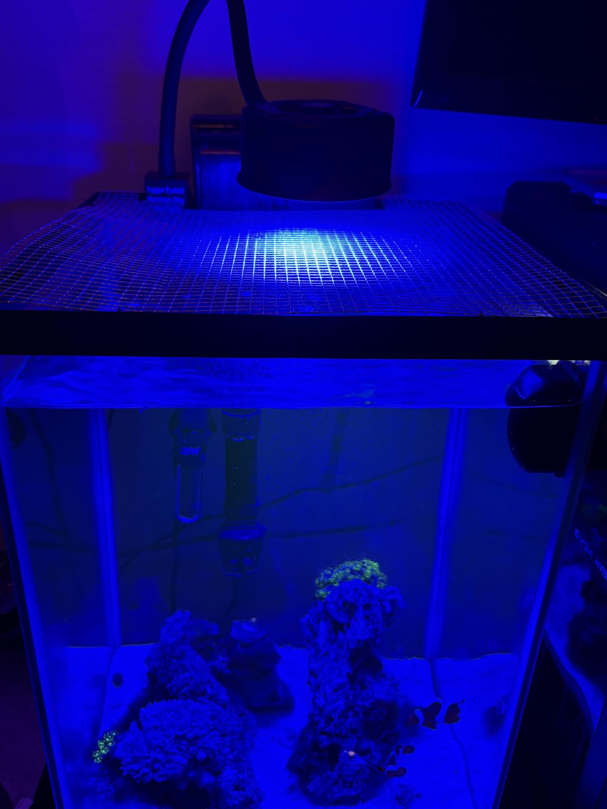 hygger 36W Saltwater Aquarium Light, Reef Light for Corals with Timer Adjustable Color and Brightness, Fish Tank Light with Controller for Marine Aquarium customer photo 2