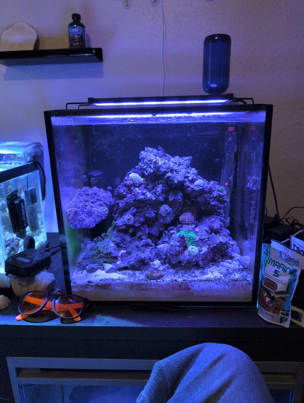hygger LED Saltwater Aquarium Light, 24/7 Mode Nano Tank Reef Light for Coral, Refugium Light with White, Blue, U-V LEDs Dimmer Timer Moonlight Mounting Bracket customer photo 2