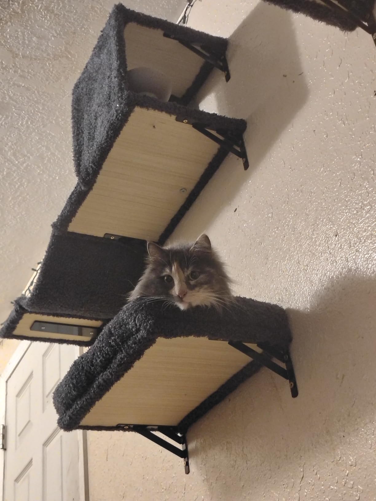 FUKUMARU Cat Wall Shelves, Stable & Safe 4 in 1 Cat Walls Furniture Set, Wooden Kitten Climbing Wall with Scratching Post for 16 Inch Drywall - Beige customer photo 2