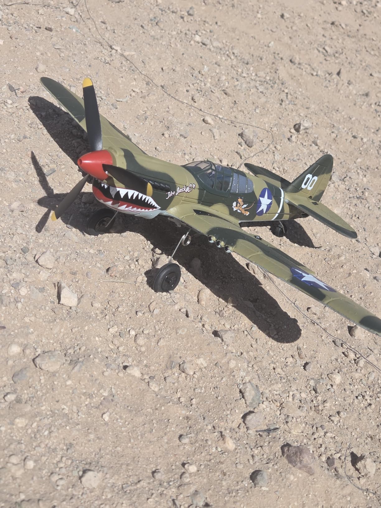 Volantexrc RC Plane, 4 Channel Remote Control Airplane Fighter P40 with Aileron, 6-Axis Gyro, Aerobatics for Adults customer photo 2