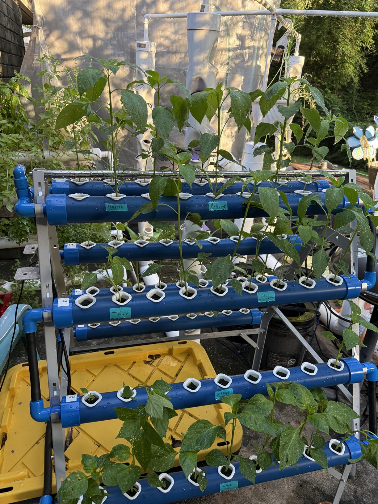 GENORTH A-Type Hydroponics Growing System Kit for Vegetables,Fruits and Herbs,72 Plant Sites and Food-Grade PVC-U Pipes,Suitable for Indoor and Outdoor,New customer photo 2
