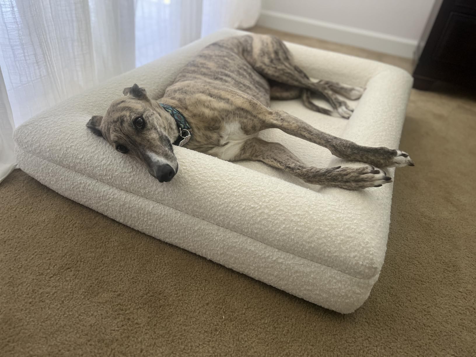 Luxury Boucle Fabric Orthopedic Large Dog Bed with Memory Foam | Breathable Comfort and Washable Dog Couch Bed with Waterproof Liner & Cover | Ideal Pet Beds for Big Dogs - Grey (45