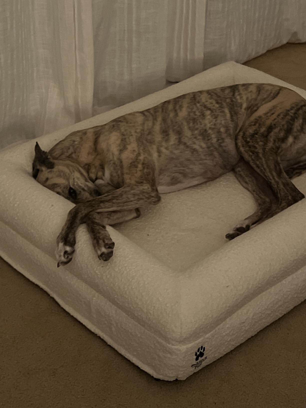 Luxury Boucle Fabric Orthopedic Large Dog Bed with Memory Foam | Breathable Comfort and Washable Dog Couch Bed with Waterproof Liner & Cover | Ideal Pet Beds for Big Dogs - Grey (45