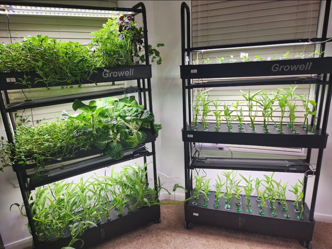Large Hydroponics Growing System Kit, 60 Pods Vertical Hydroponic Garden with 2 Light Modes Grow Light, Auto Circulating Water System, 32L Indoor Gardening System customer photo 1