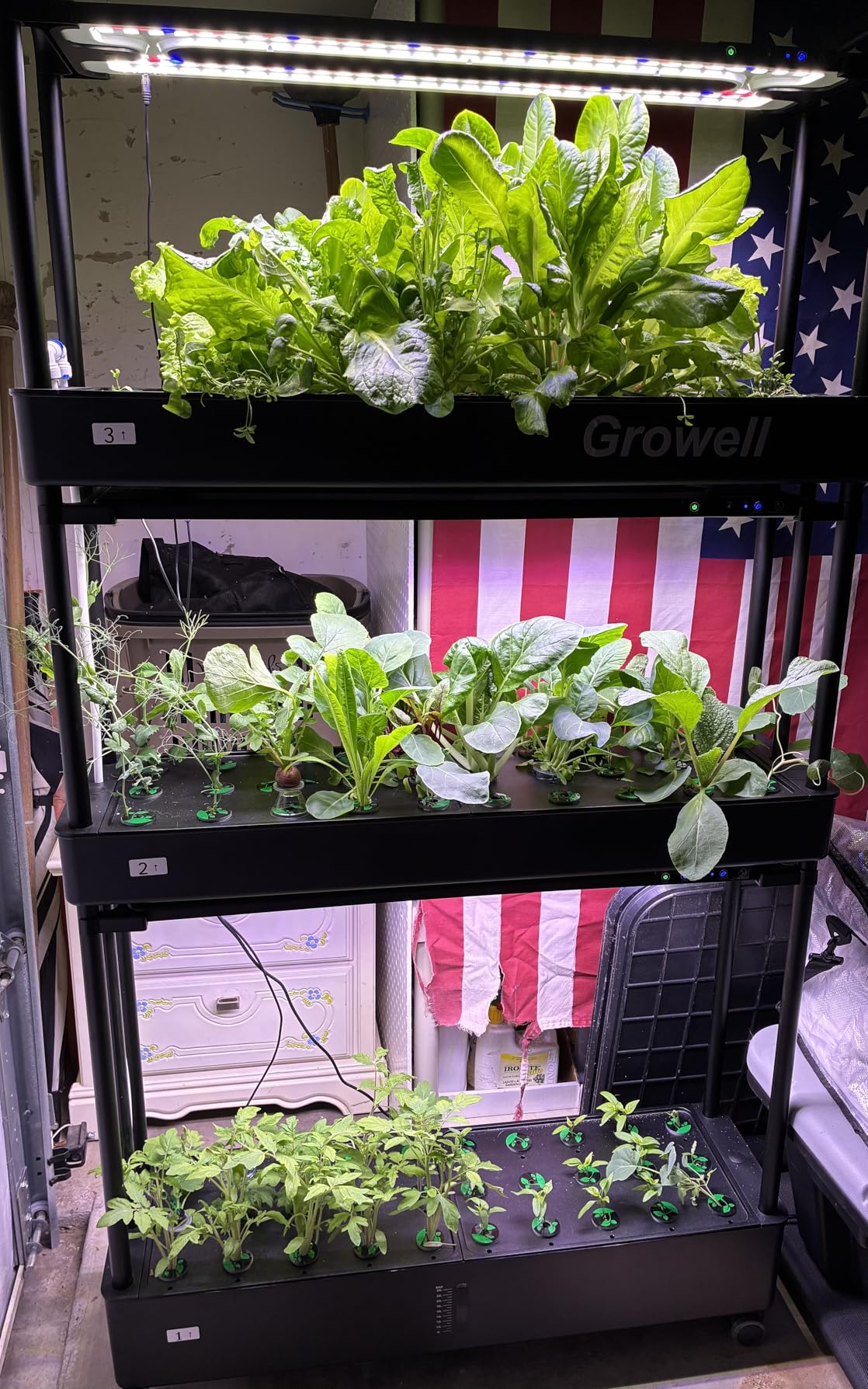 Large Hydroponics Growing System Kit, 60 Pods Vertical Hydroponic Garden with 2 Light Modes Grow Light, Auto Circulating Water System, 32L Indoor Gardening System customer photo 2