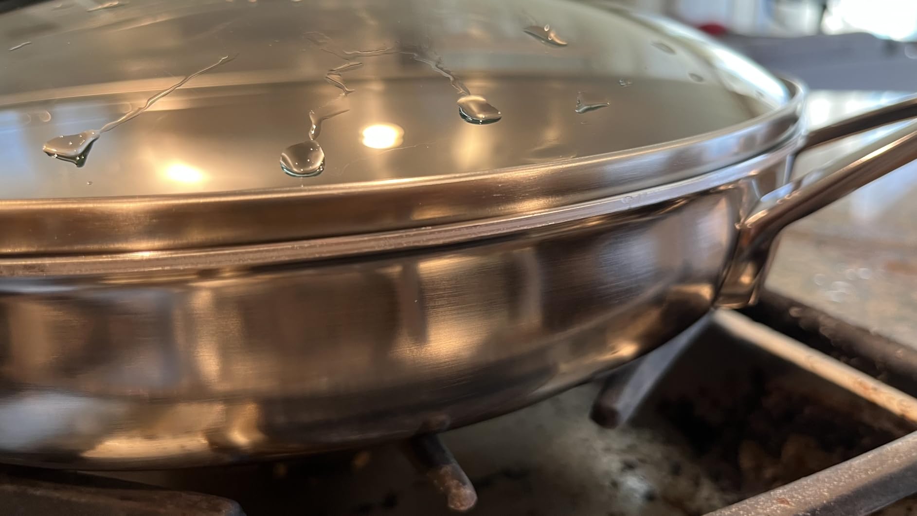 Demeyere 5-Plus 12.5-inch Stainless Steel Fry Pan with Glass Lid customer photo 2