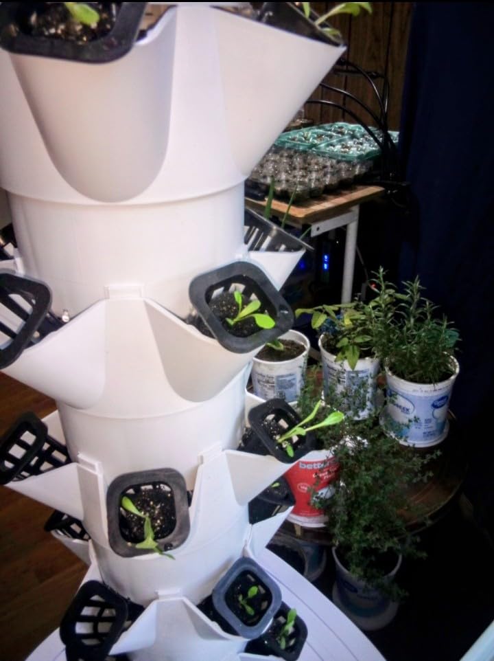 VEVOR Hydroponic Growing System with Grow Light, 30 Pods Vertical 6 Tiers Hydroponic Tower, Home Hydronic Garden with Water Pump, Plants Germination Kit for Indoor Herbs customer photo 1