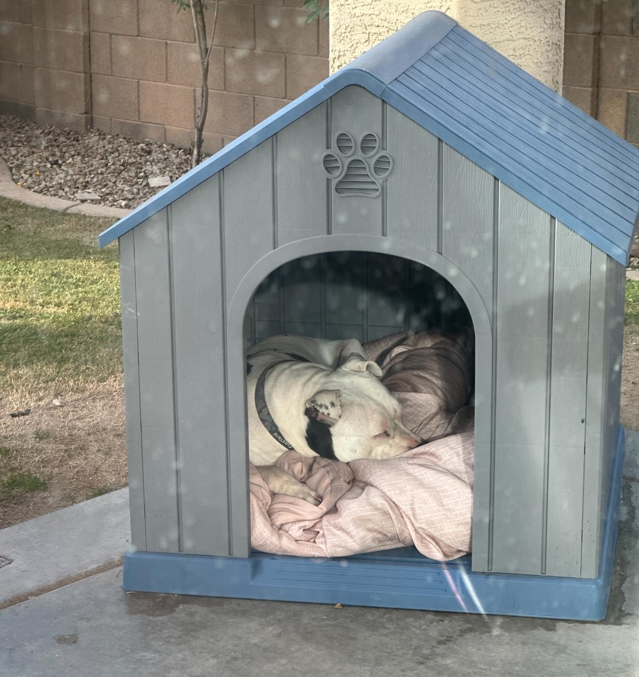 DRATO Large Dog House Indoor Outdoor, Blue, 38.62x36.26x38.07 in | Waterproof, Puppy Shelter with Air Vents and Elevated Floor, Sturdy Dog Kennel for Small to Large Sized Dogs customer photo 1