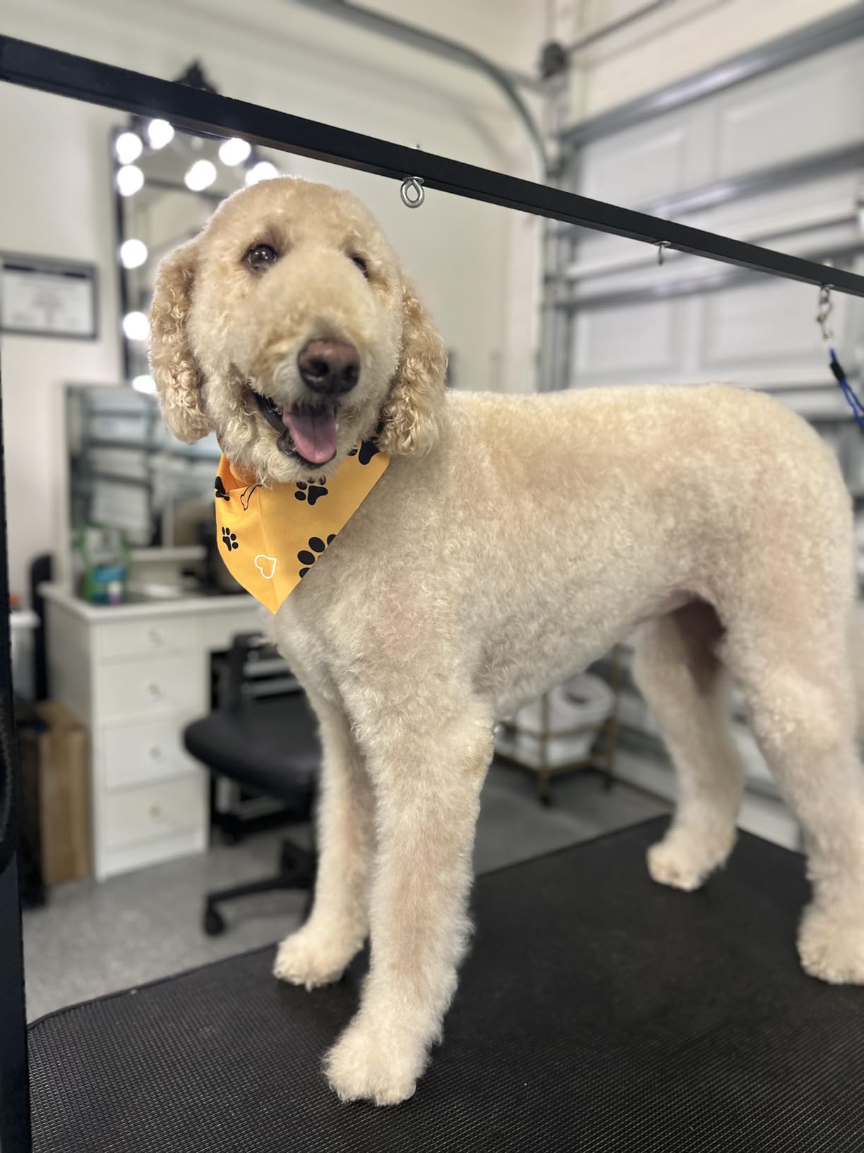 VEVOR Hydraulic Pet Grooming Table, 400LBS Static Load Capacity, 42.5 x 24 Inch Dog Grooming Station with Anti-Slip Tabletop and Dual Height Adjustable Arms with Clamps customer photo 1