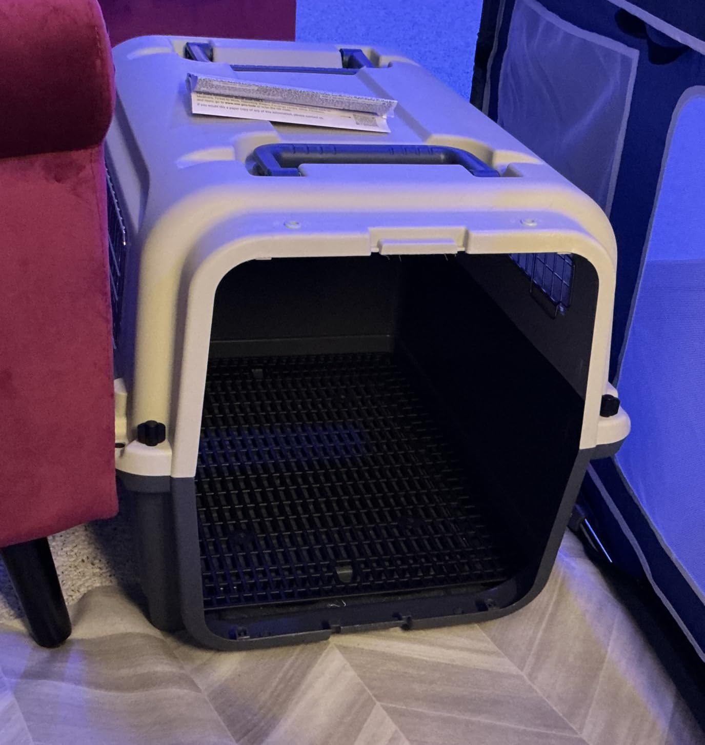 Elevon Plastic Kennels, Plastic Dog Crate, Airline Approved Pet Carrier for Dogs and Cats Longer Traveling, XL customer photo 1