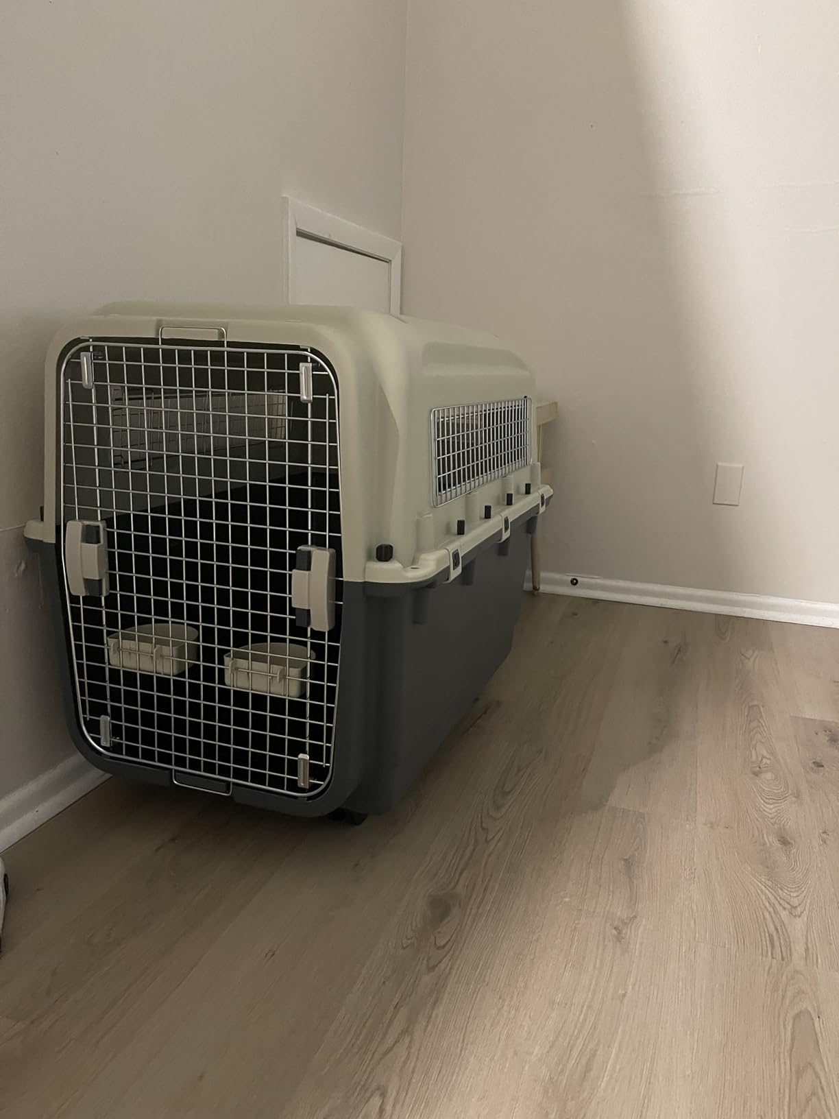 Elevon Plastic Kennels, Plastic Dog Crate, Airline Approved Pet Carrier for Dogs and Cats Longer Traveling, XL customer photo 2