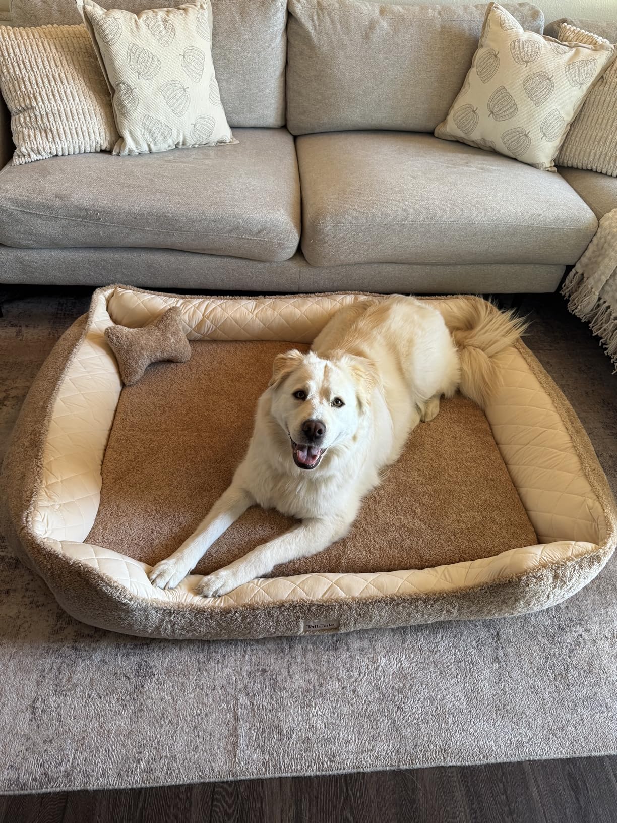 Cooling Orthopedic Dog Beds Large Sized Dogs - Memory Foam for Joint Pain & Arthritis, Big Dog Couch w/Washable Removable Cover & Waterproof Liner, Pet Bed w/Raised Bolster & Non-Slip Base customer photo 1