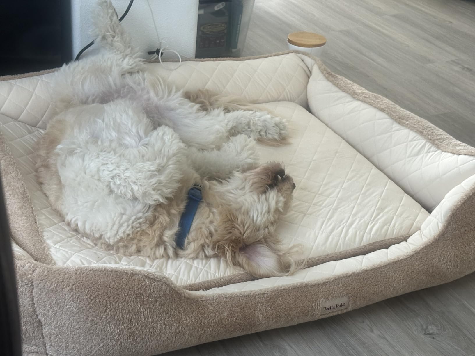 Cooling Orthopedic Dog Beds Large Sized Dogs - Memory Foam for Joint Pain & Arthritis, Big Dog Couch w/Washable Removable Cover & Waterproof Liner, Pet Bed w/Raised Bolster & Non-Slip Base customer photo 2