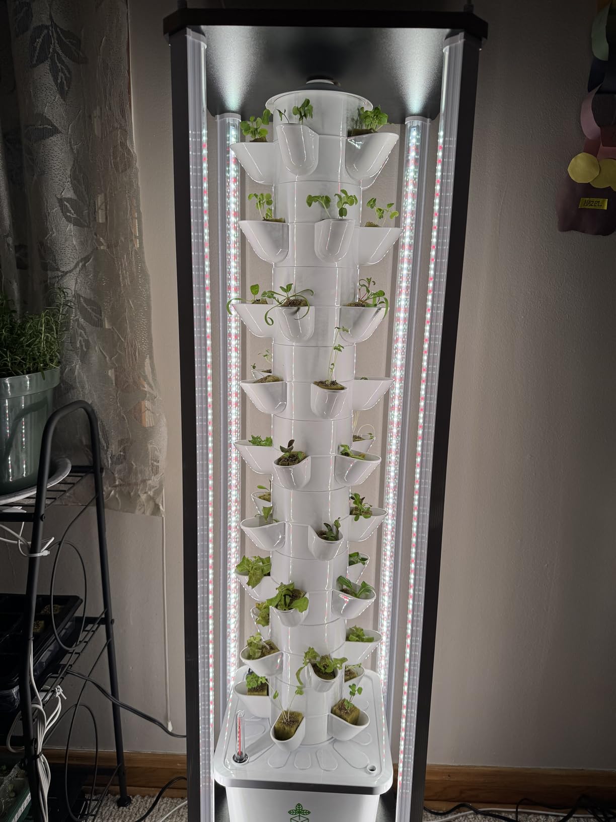 Hydroponics Tower Growing System, 45 Pods Vertical Indoor Garden, 360° Full-Spectrum Lights, Automatic Water Circulation System, Suitable for Leafy Greens and Herbs customer photo 2